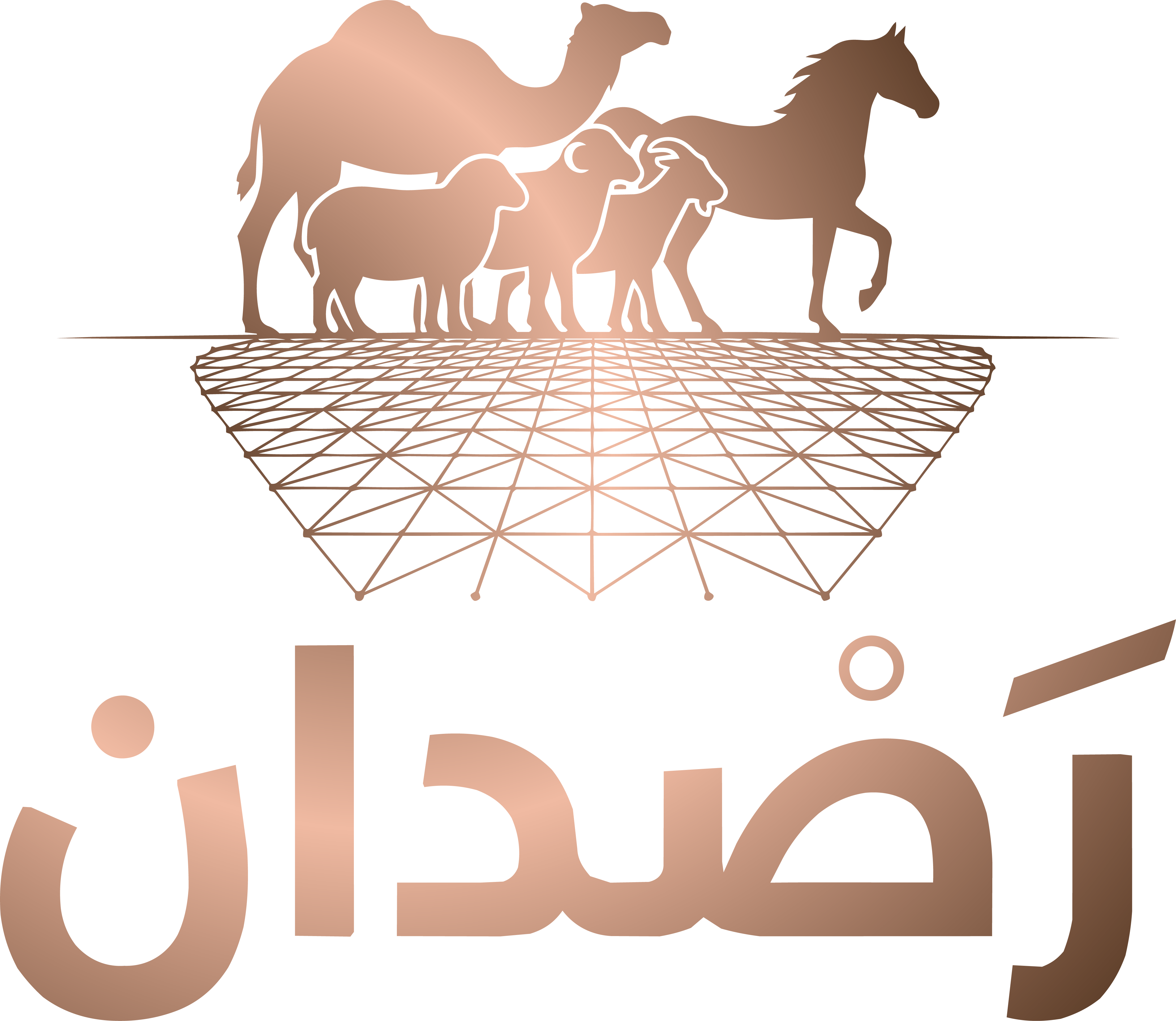 رصدان